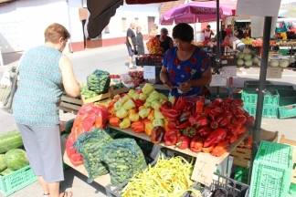 Ponuda na požeškoj tržnici 10.08.2017.