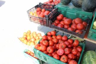 Ponuda na požeškoj tržnici 10.08.2017.