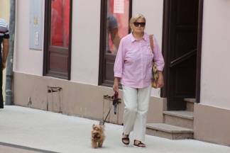 Subotnja šetnja Požegom 12.08.2017.