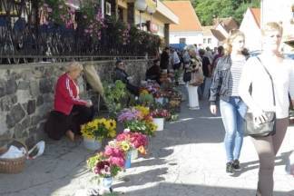 Ponuda četvrtkom na požeškoj tržnici, 14.9.2017.