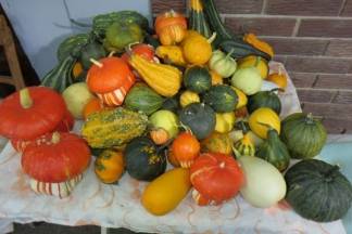 Ponuda četvrtkom na požeškoj tržnici, 14.9.2017.