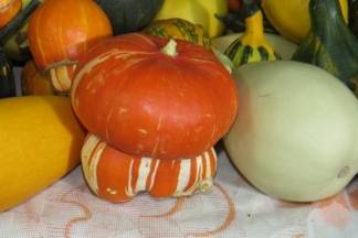 Ponuda četvrtkom na požeškoj tržnici, 14.9.2017.