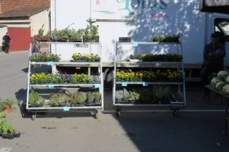 Ponuda četvrtkom na požeškoj tržnici, 14.9.2017.