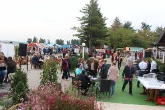 VETOVO: 4. Etno susreti Požeštine i 4. Čvarkijada 2017.