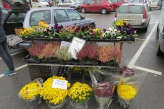 Ponuda na požeškoj tržnici, 9.11.2017.