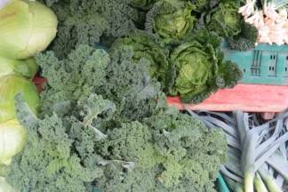 Ponuda na požeškoj tržnici, 9.11.2017.