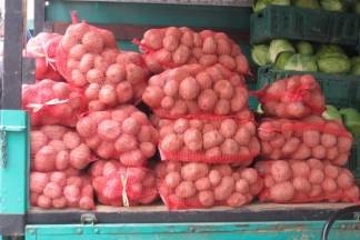 Ponuda na požeškoj tržnici, 9.11.2017.