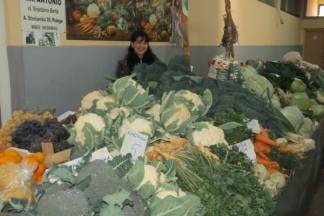 Ponuda na požeškoj tržnici, 9.11.2017.