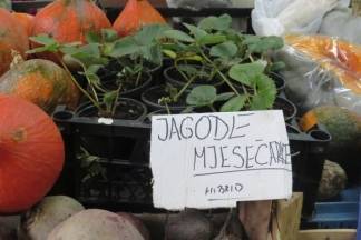 Ponuda na požeškoj tržnici, 9.11.2017.