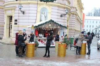 Snježna šetnja Požegom 09.12.2017.