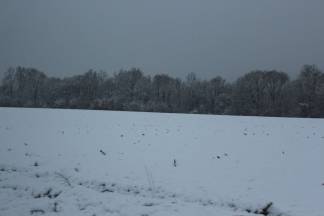 Snježnim putevima požeško - slavonske županije 09.12.2017.