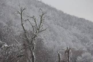 Snježnim putevima požeško - slavonske županije 09.12.2017.