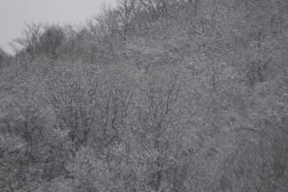 Snježnim putevima požeško - slavonske županije 09.12.2017.