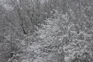 Snježnim putevima požeško - slavonske županije 09.12.2017.