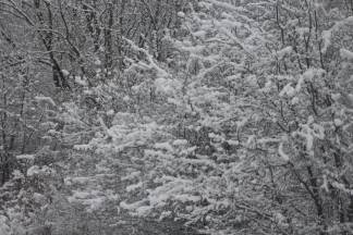 Snježnim putevima požeško - slavonske županije 09.12.2017.