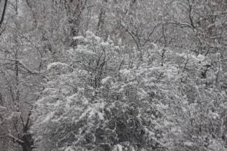 Snježnim putevima požeško - slavonske županije 09.12.2017.