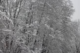 Snježnim putevima požeško - slavonske županije 09.12.2017.