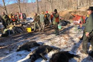Kutjevo i Vetovo u zajedničkom lovu 30.12.2017.