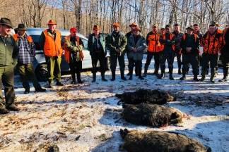 Kutjevo i Vetovo u zajedničkom lovu 30.12.2017.