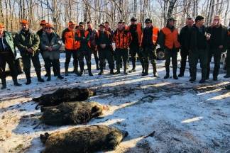 Kutjevo i Vetovo u zajedničkom lovu 30.12.2017.