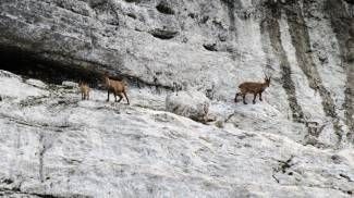 Pripreme za Atlas: Ivan i Sanja se popeli na Triglav