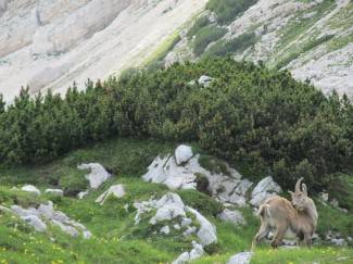 Pripreme za Atlas: Ivan i Sanja se popeli na Triglav