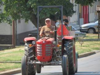 Subotnja šetnja: Kutjevo u ljetnom izdanju