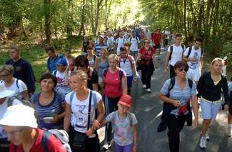 Požeški hodočasnici na putu do Voćina