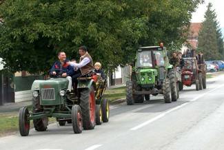 Vinogradari počeli s berbom, cijena otkupa još uvijek nepoznata