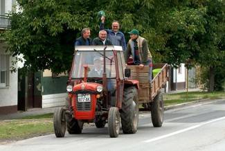Vinogradari počeli s berbom, cijena otkupa još uvijek nepoznata