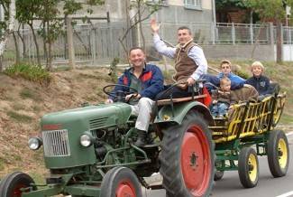 Vinogradari počeli s berbom, cijena otkupa još uvijek nepoznata