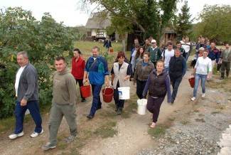 Vinogradari počeli s berbom, cijena otkupa još uvijek nepoznata