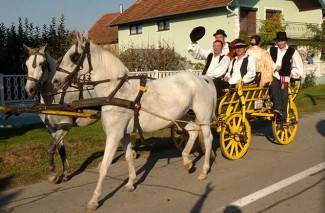 Oj divojko, što u kolo nećeš: Smotra šetanih kola u Buku