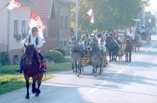 Oj divojko, što u kolo nećeš: Smotra šetanih kola u Buku