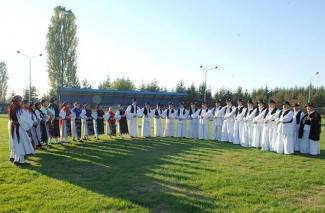 Oj divojko, što u kolo nećeš: Smotra šetanih kola u Buku