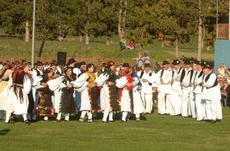 Oj divojko, što u kolo nećeš: Smotra šetanih kola u Buku