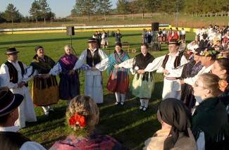 Oj divojko, što u kolo nećeš: Smotra šetanih kola u Buku