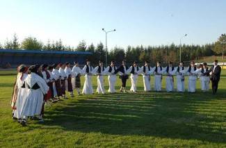 Oj divojko, što u kolo nećeš: Smotra šetanih kola u Buku