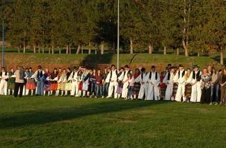 Oj divojko, što u kolo nećeš: Smotra šetanih kola u Buku