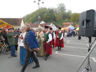 Martinje u Požegi 2012.