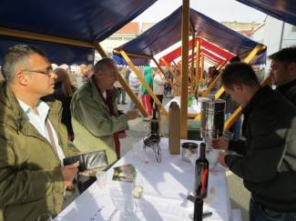 Martinje u Požegi 2012.