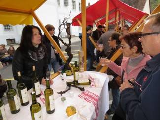 Martinje u Požegi 2012.