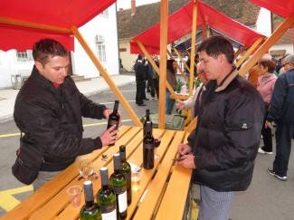 Martinje u Požegi 2012.