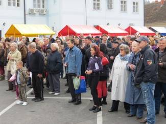 Martinje u Požegi 2012.