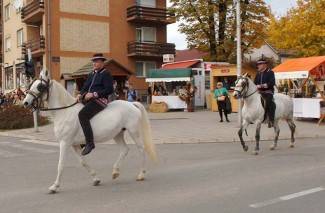 Martinje u Kutjevu, 2. dan