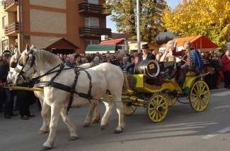Martinje u Kutjevu, 2. dan