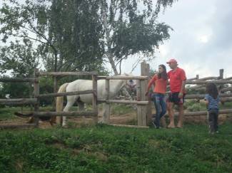 Konjički klub Filippos u Radovancima