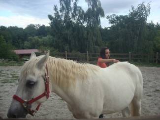 Konjički klub Filippos u Radovancima