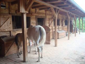 Konjički klub Filippos u Radovancima