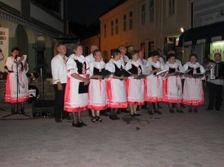 Rasplesani Česi i Slovaci oraspoložili okupljene (video)